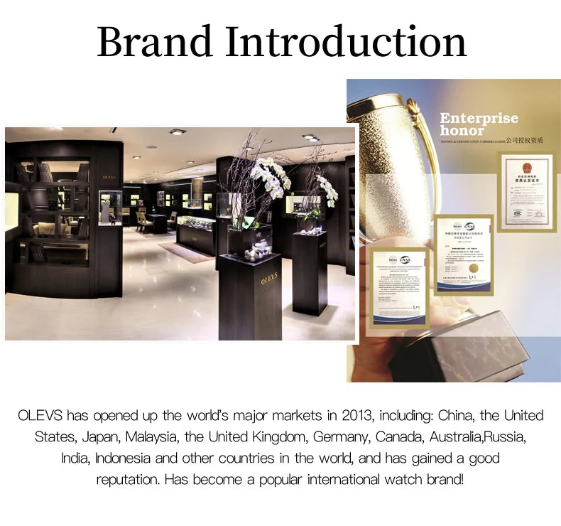 OLEVS - Brand Fashion Quartz female